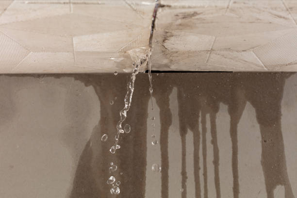 Professional Structural Drying technician working in Halls, TN